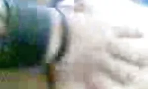 malay ibikorwa 5 kur ...